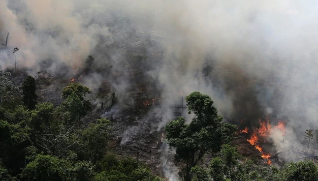 incendio_amazonas.jpg